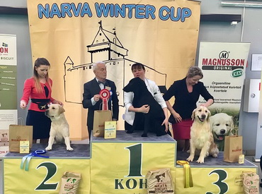 Narva Winter Cup 2017