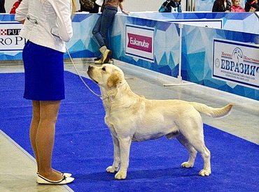 Eurasia 2017
